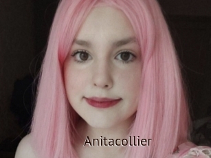 Anitacollier