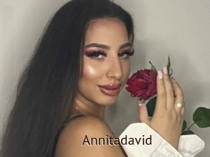 Annitadavid