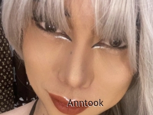 Anntook