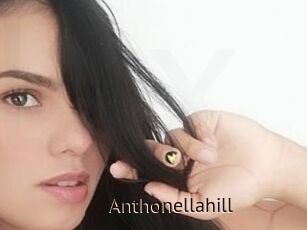 Anthonellahill