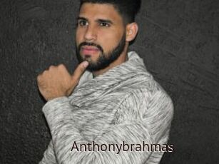 Anthonybrahmas