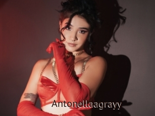 Antonellaagrayy