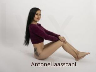Antonellaasscani