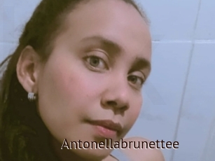 Antonellabrunettee