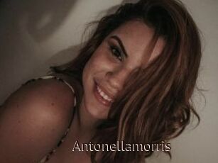 Antonellamorris