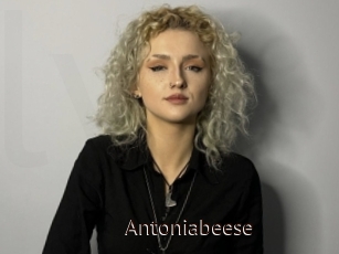 Antoniabeese