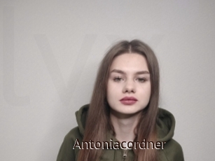 Antoniacordner
