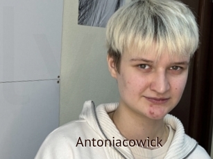 Antoniacowick