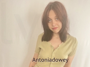 Antoniadowey