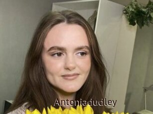 Antoniadudley
