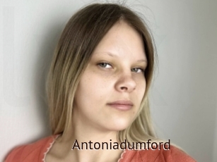 Antoniadumford