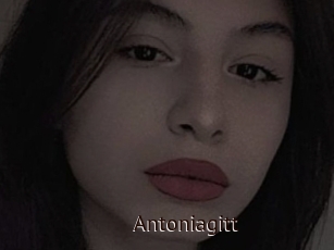 Antoniagitt