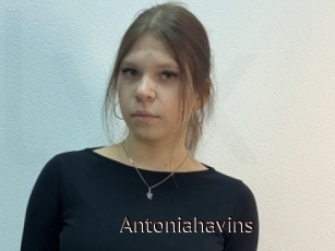 Antoniahavins