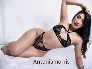 Antoniamorris