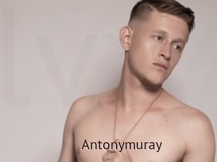 Antonymuray