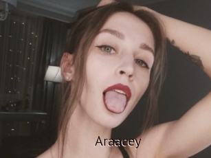Araacey