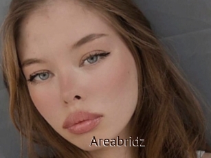 Areabridz