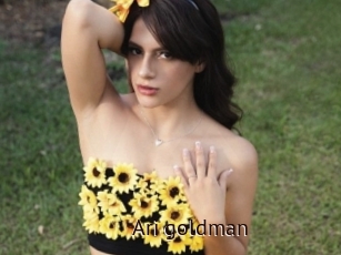Ari_goldman