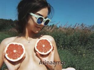 Arinaamor