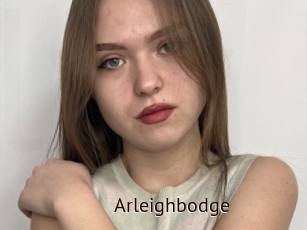 Arleighbodge