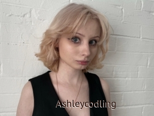 Ashleycodling