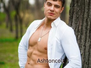 Ashtoncolt