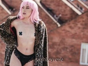 Asshleyrose