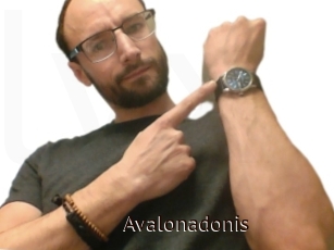 Avalonadonis