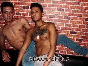 BIG_COCKS_HUNG