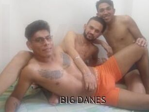 BIG_DANES