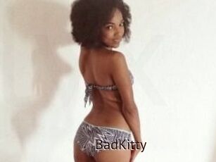 Bad_Kitty_