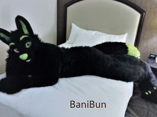 BaniBun