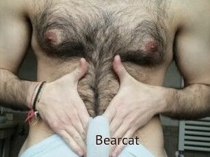 Bearcat
