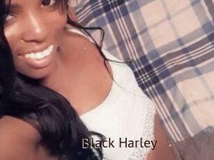 Black_Harley