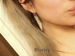 Blue_jay