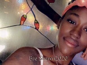 Bre_Shawn2020
