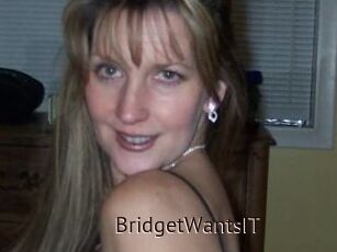 BridgetWantsIT