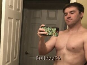 Bulldog35
