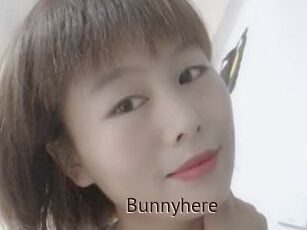 Bunnyhere