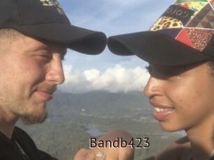 Bandb423