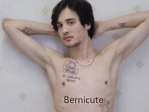 Bernicute
