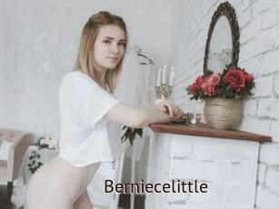 Berniecelittle