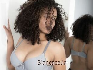 Biancacelia