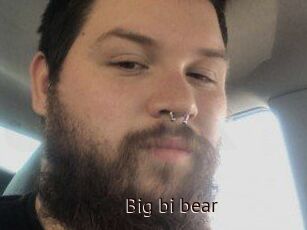 Big_bi_bear