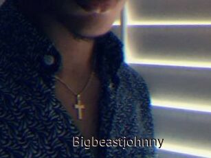 Bigbeastjohnny