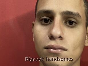 Bigcock_handsomes