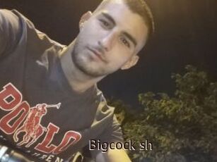 Bigcock_sh
