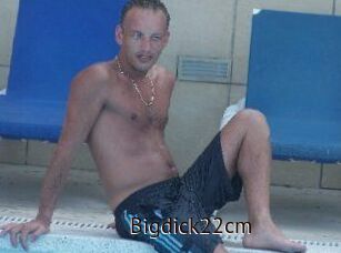 Bigdick22cm