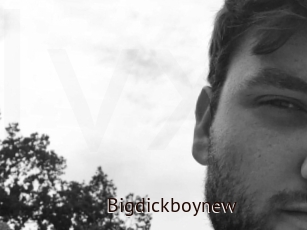 Bigdickboynew