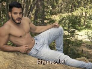 Bigmusclet